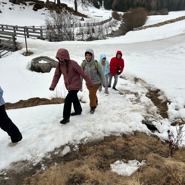 WhatsApp Image 2026-04-07 at 07.46.03